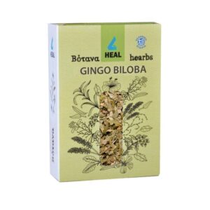 4Heal Βότανο Gingo Biloba