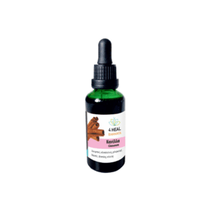 4Heal Βάμμα Κανέλλα, 50ml